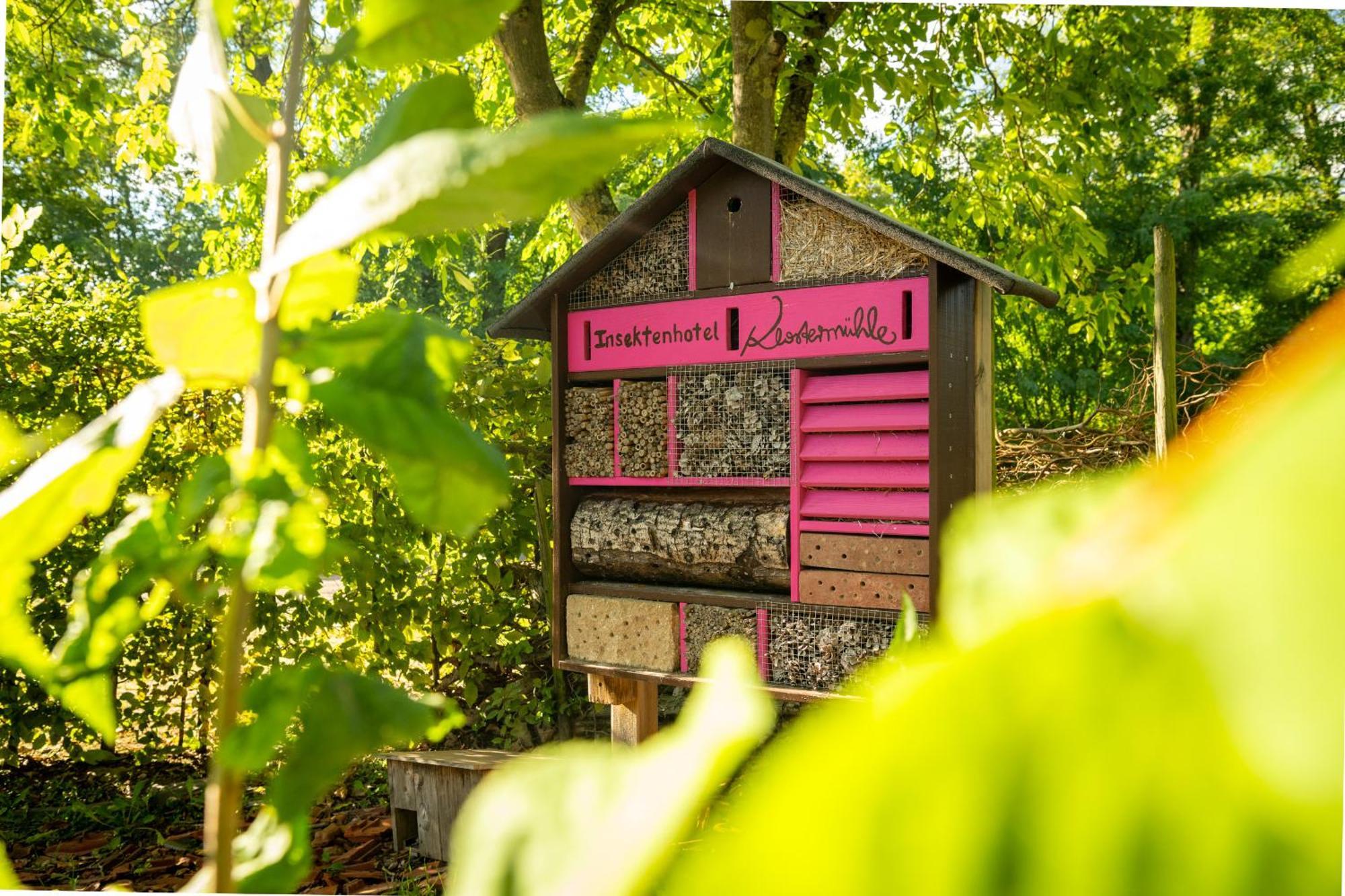 Weinhotel Restaurant Klostermuehle Ockfen ภายนอก รูปภาพ