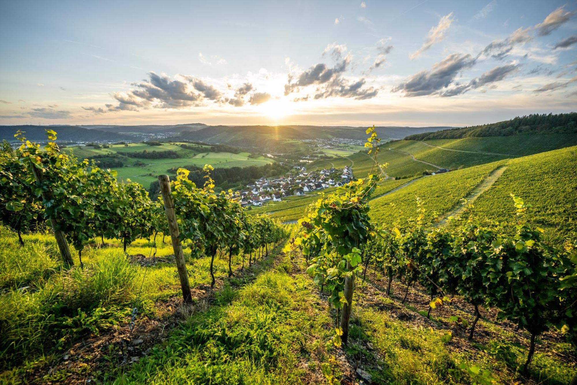 Weinhotel Restaurant Klostermuehle Ockfen ภายนอก รูปภาพ